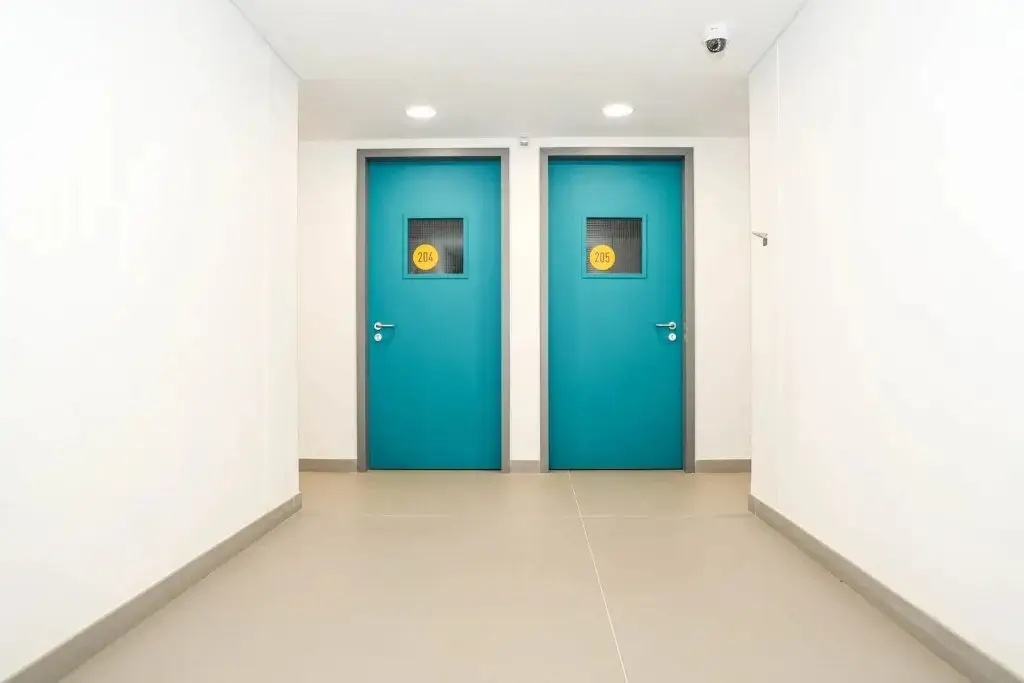 Metal Doors Image 3