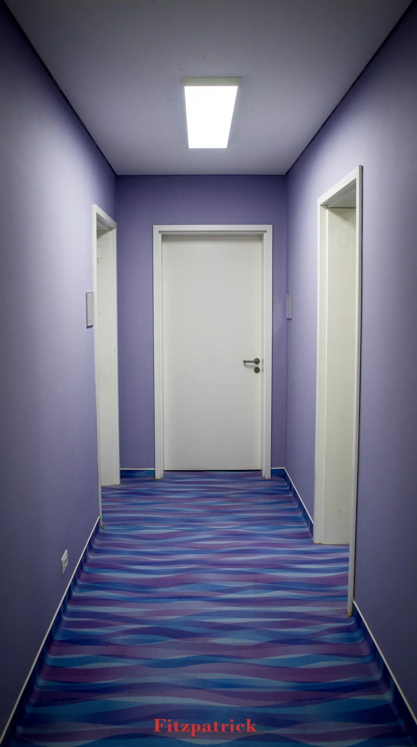 Fitpatrick Doors Image 2